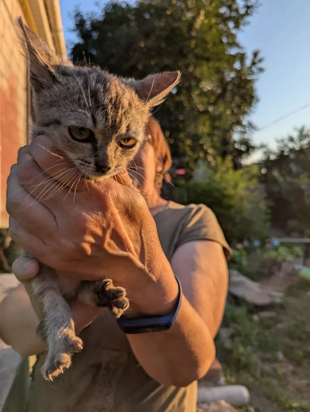 Kalinka (Калинка), female young Mixed Breed for adoption at Happy Paw Cherkasy Oblast