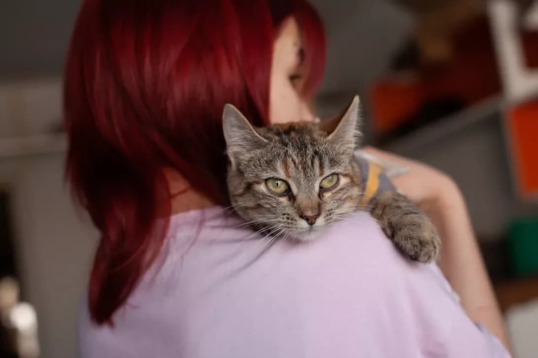 Vesta (Веста), Mixed Breed (Happy Paw Kyiv)