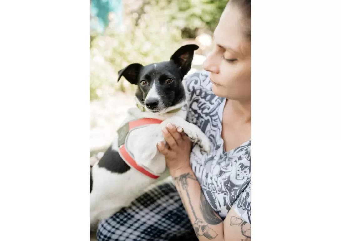 Asya (Ася), female young Mixed Breed for adoption at Happy Paw Kyiv