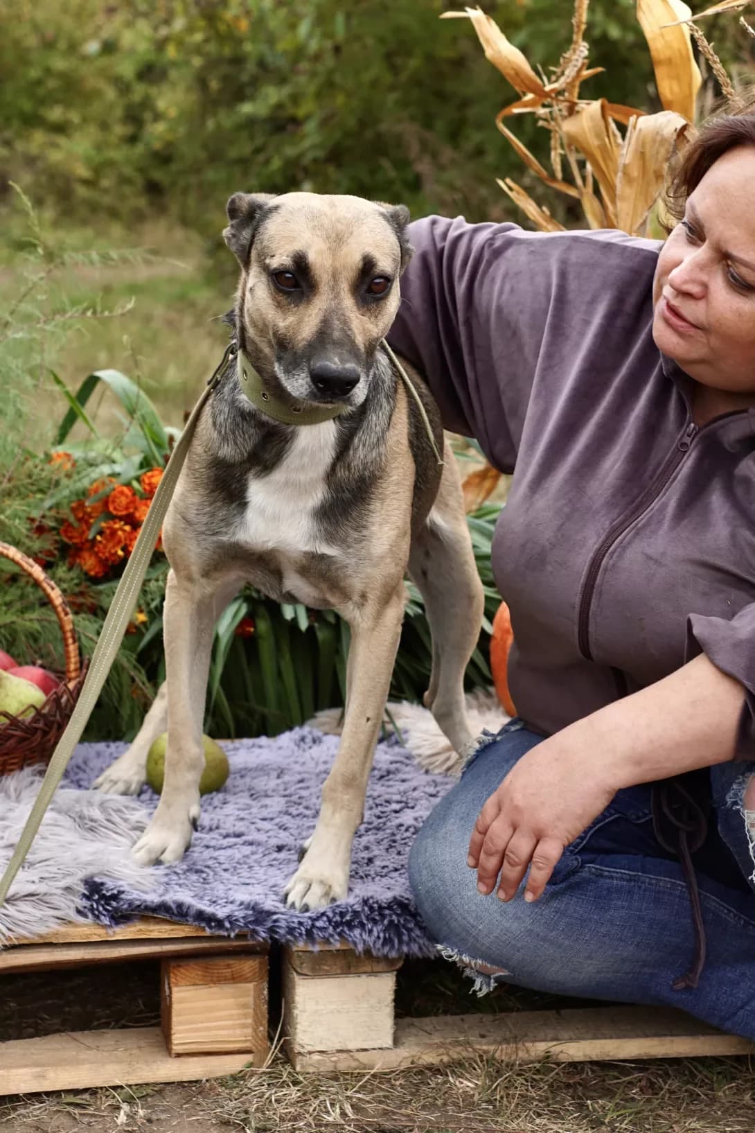 Zakhar (Захар), male 7yo Mixed Breed for adoption at Happy Paw Khmelnytskyi Oblast