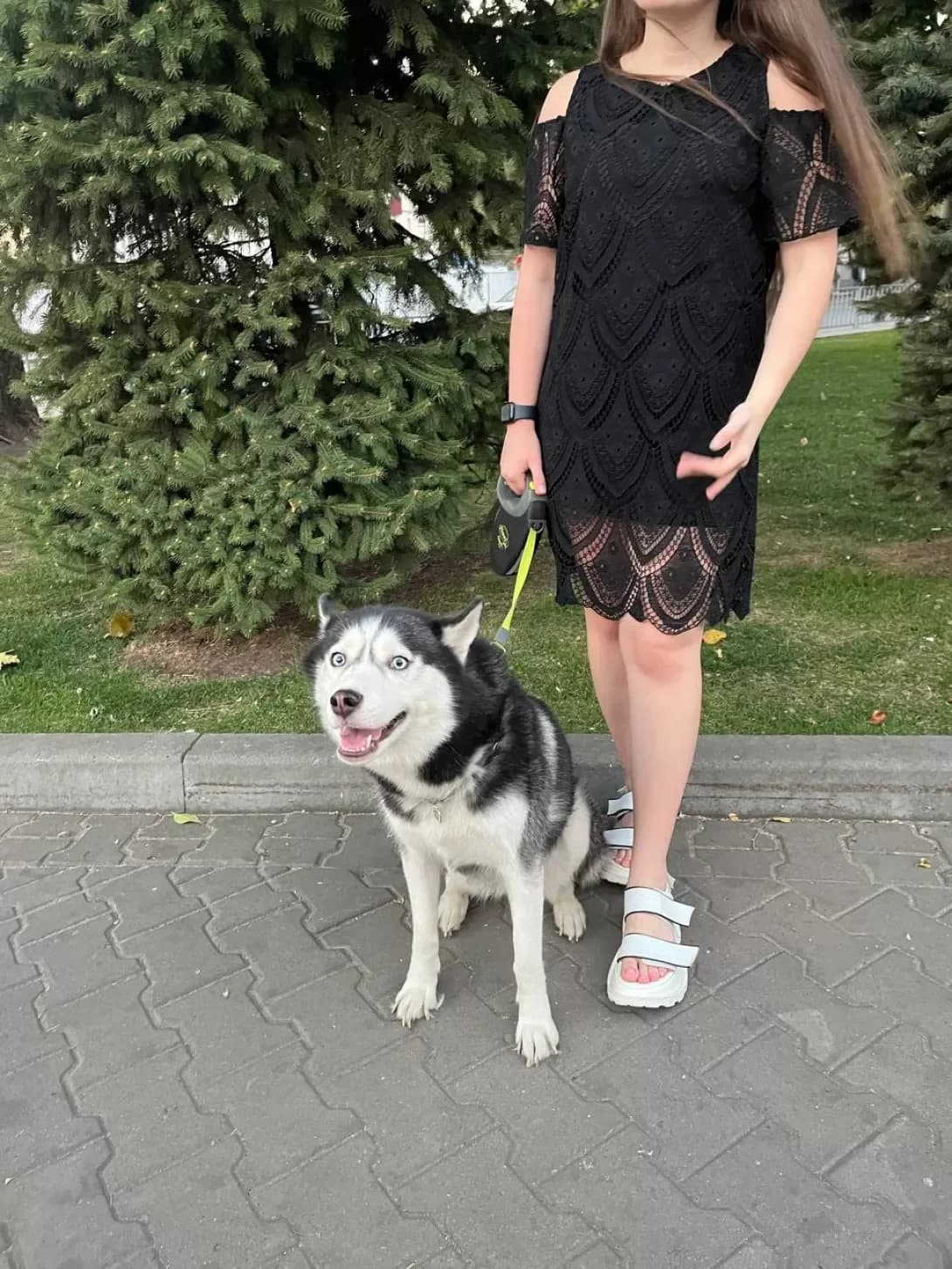 Luna (Луна), Mixed Breed (Happy Paw Dnipro)