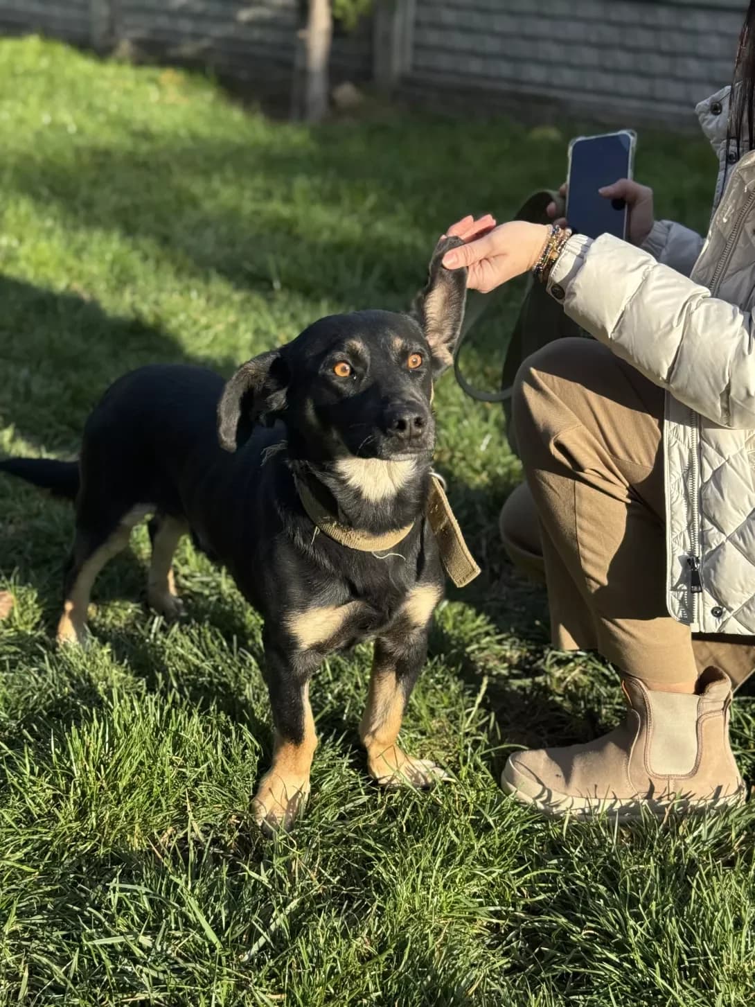 Duda (Дуда), male 3yo Mixed Breed for adoption at Happy Paw Kyiv