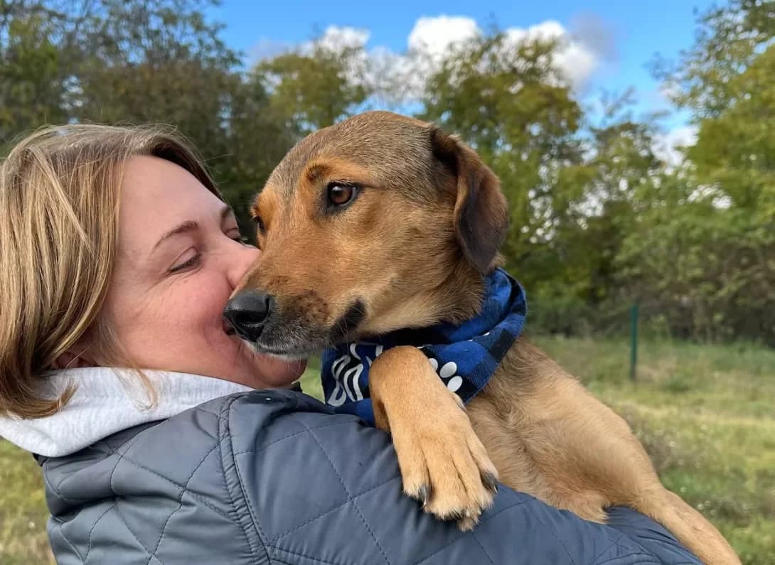 Dunay (Дунай), male young Mixed Breed for adoption at Happy Paw Kyiv