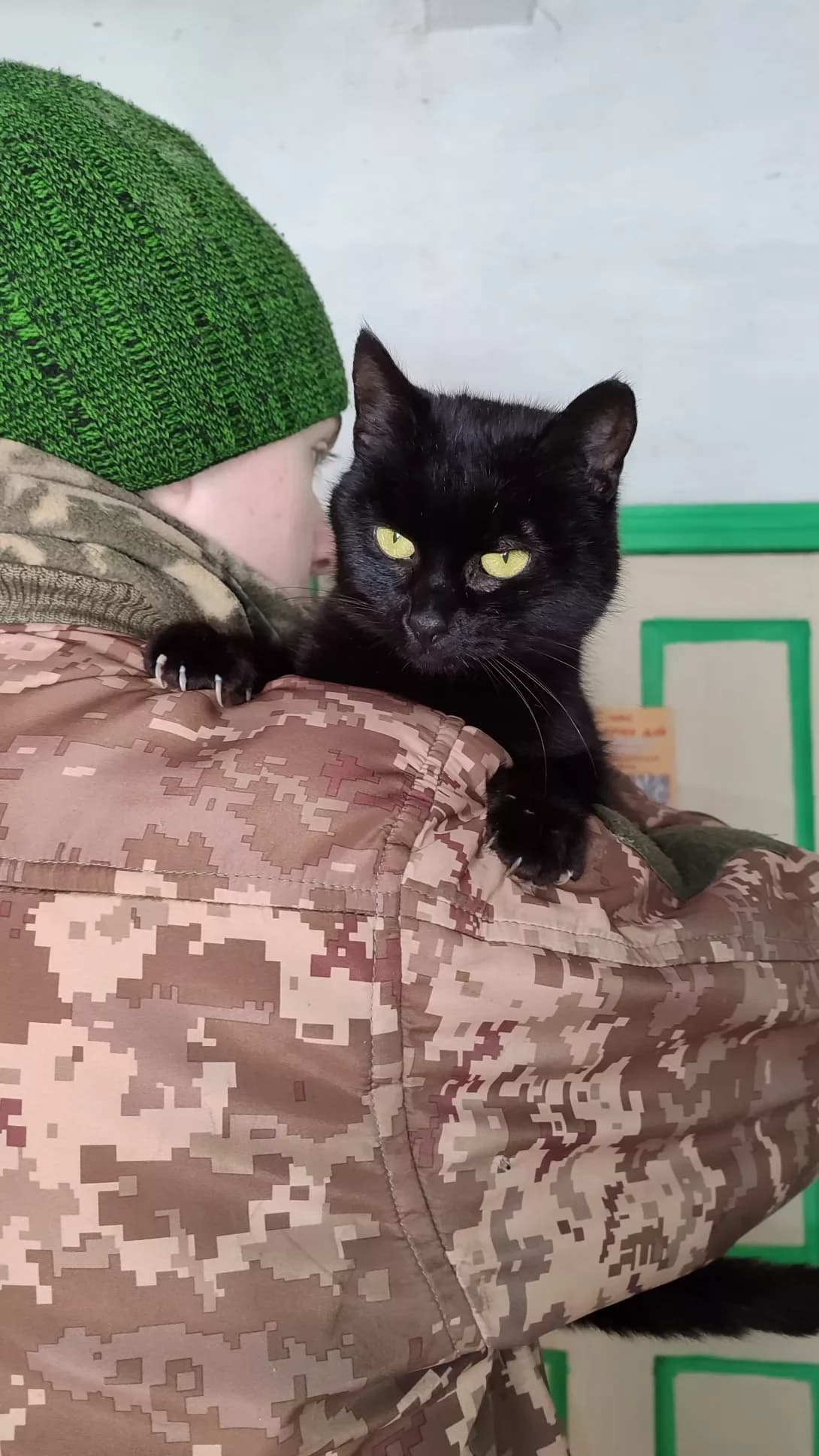 Vuglinka (Вуглинка), Mixed Breed (Happy Paw Kirovohrad)