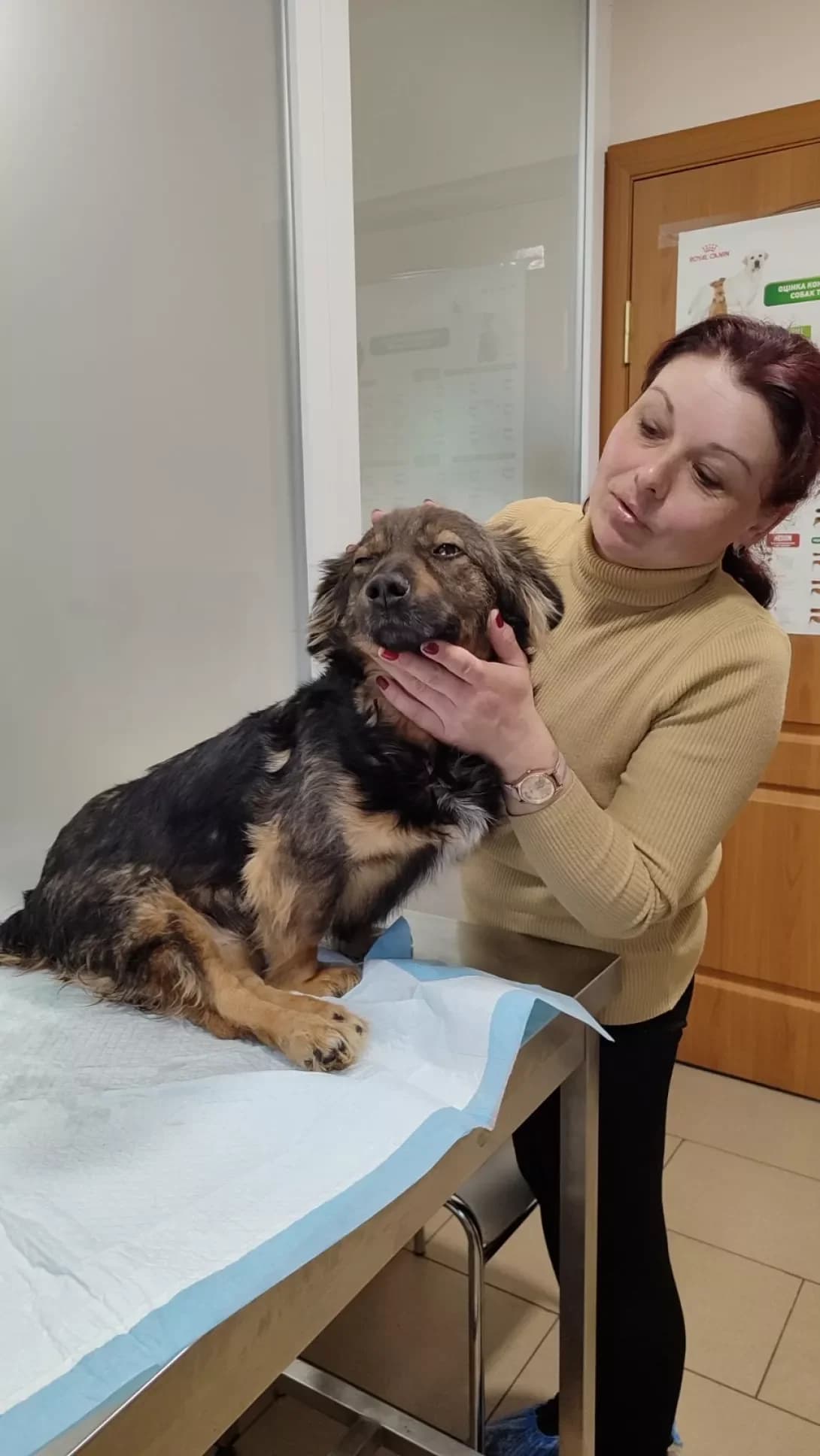 Cheri (Чері), Mixed Breed (Happy Paw Kirovohrad)