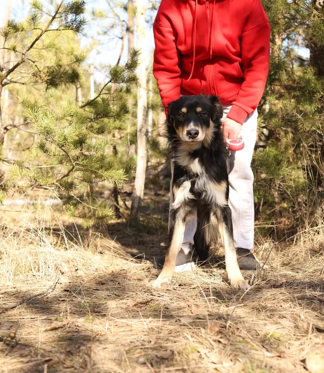 Mishko (Мишко), male puppy Mixed Breed for adoption at Happy Paw Kyiv