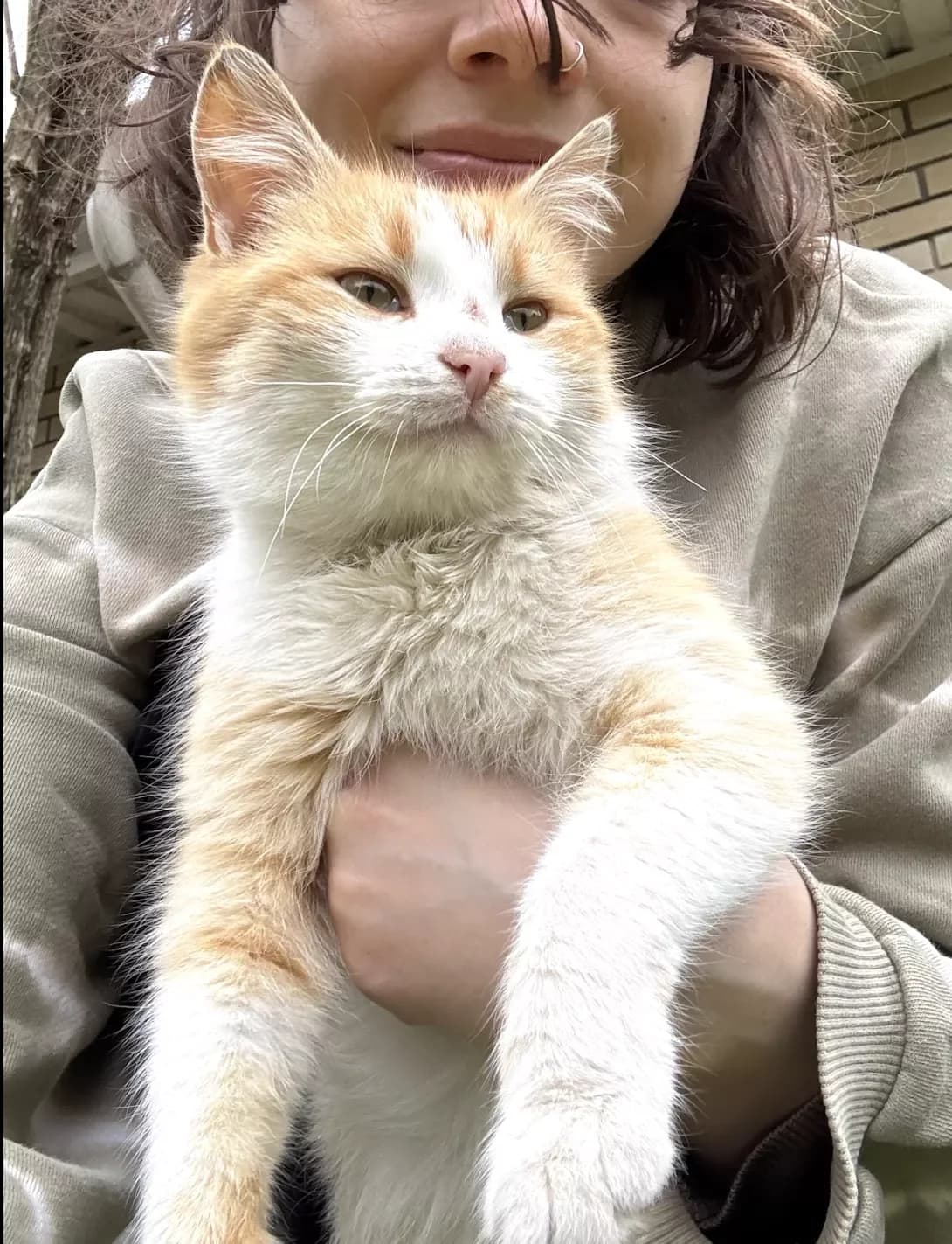 Den (Ден), Mixed Breed (Happy Paw Dnipro)