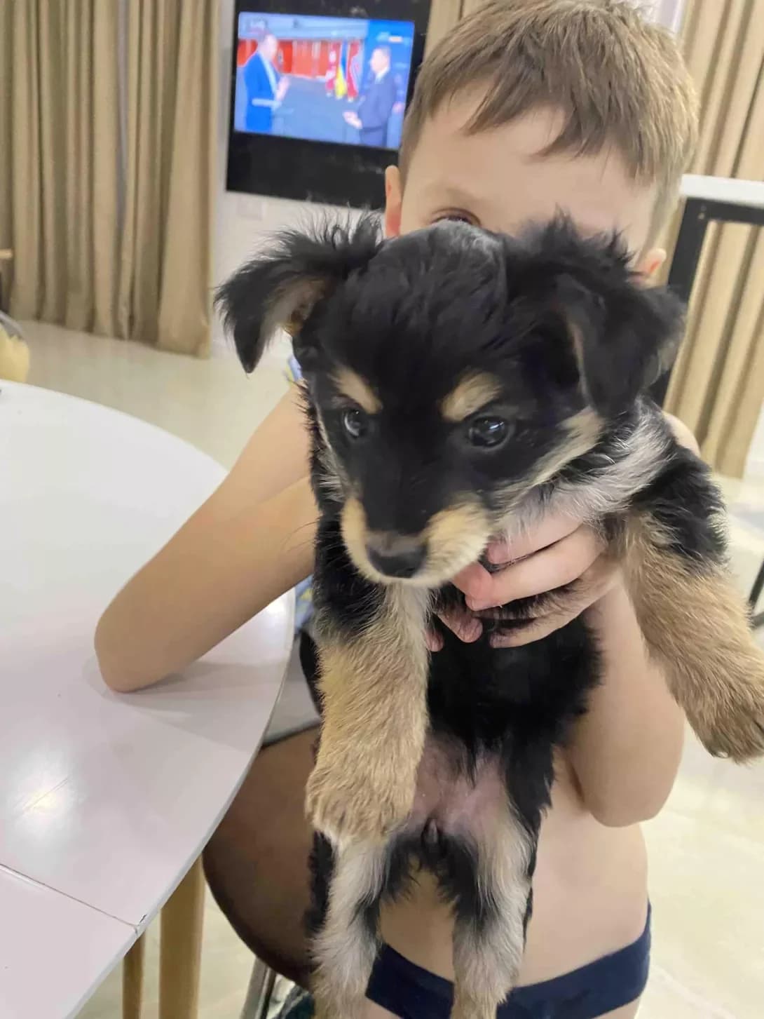 Dzhesi (Джесі), female young Mixed Breed for adoption at Happy Paw Lviv