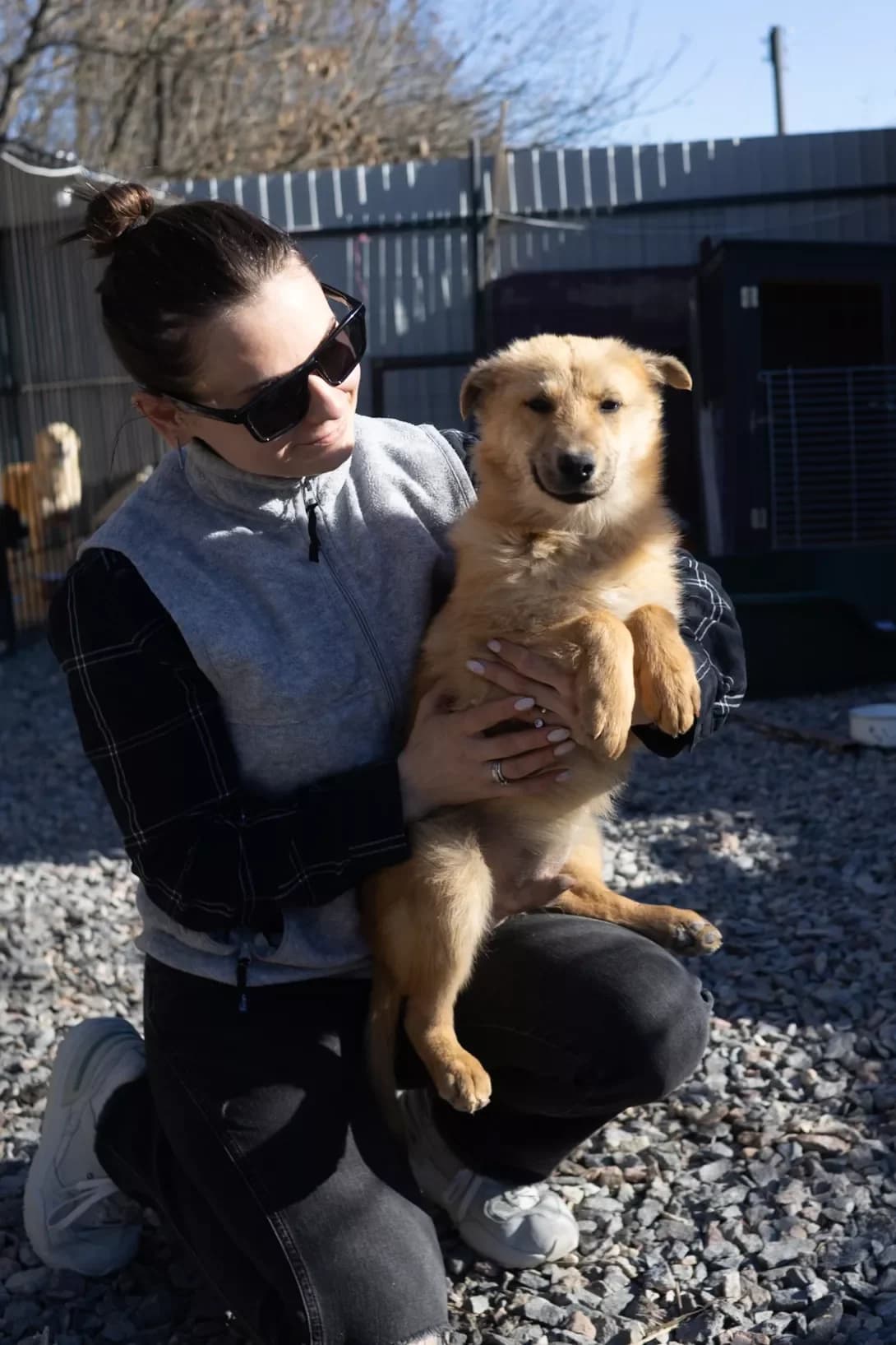 Mango (Манго), male puppy Mixed Breed for adoption at Happy Paw Kirovohrad