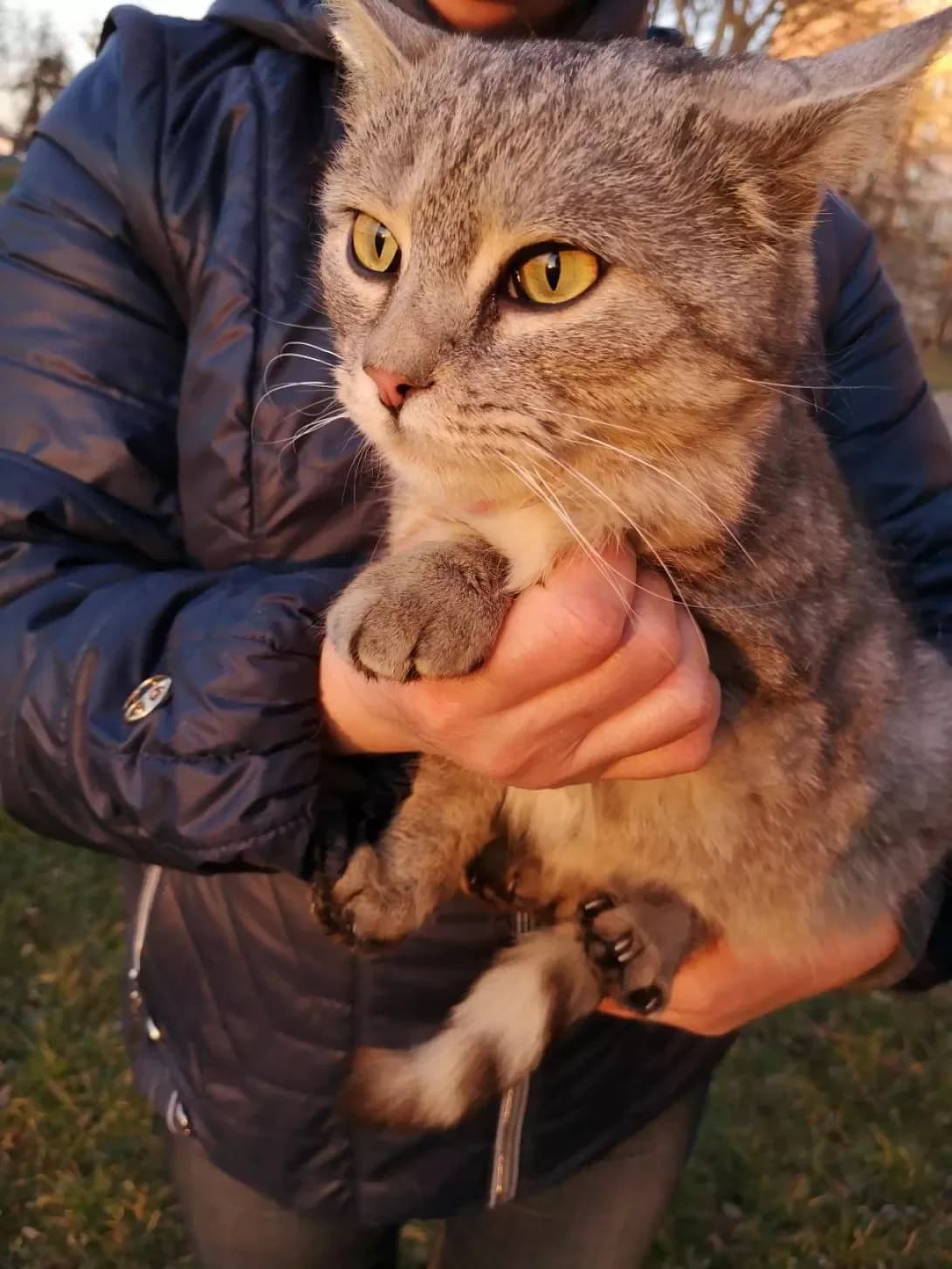 Iriska (Ириска), female senior Mixed Breed for adoption at Happy Paw Vinnytsia Oblast