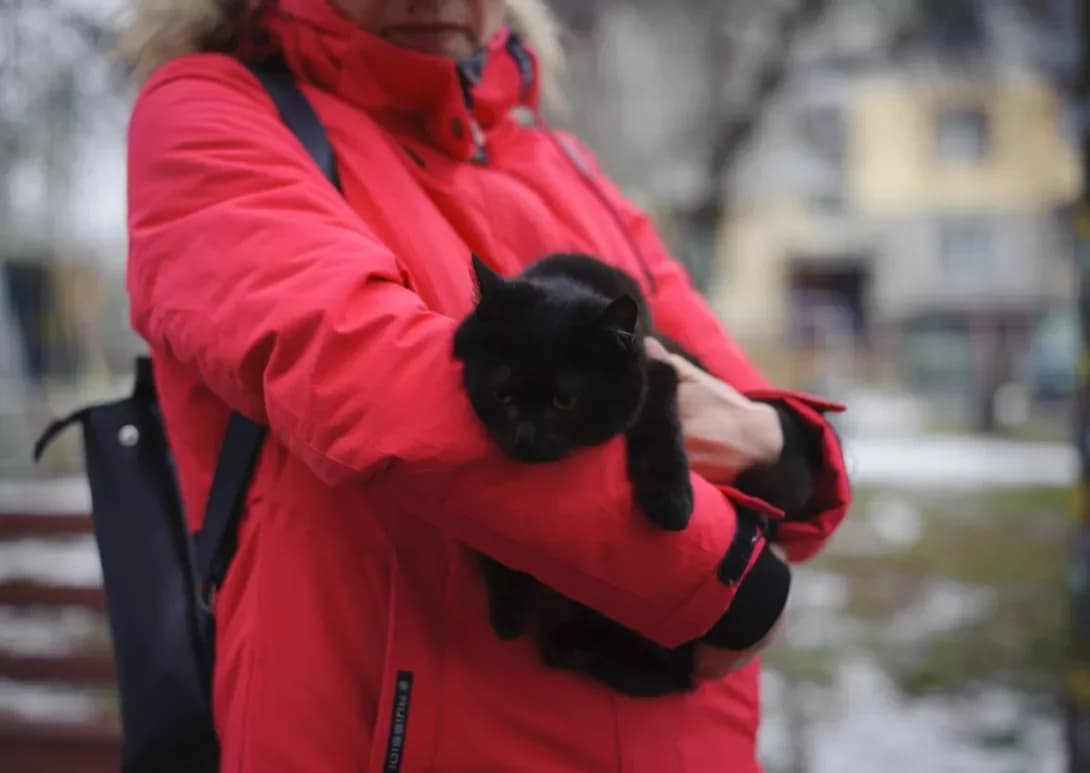 Chucha (Чуча), female 5yo Mixed Breed for adoption at Happy Paw Kyiv Oblast