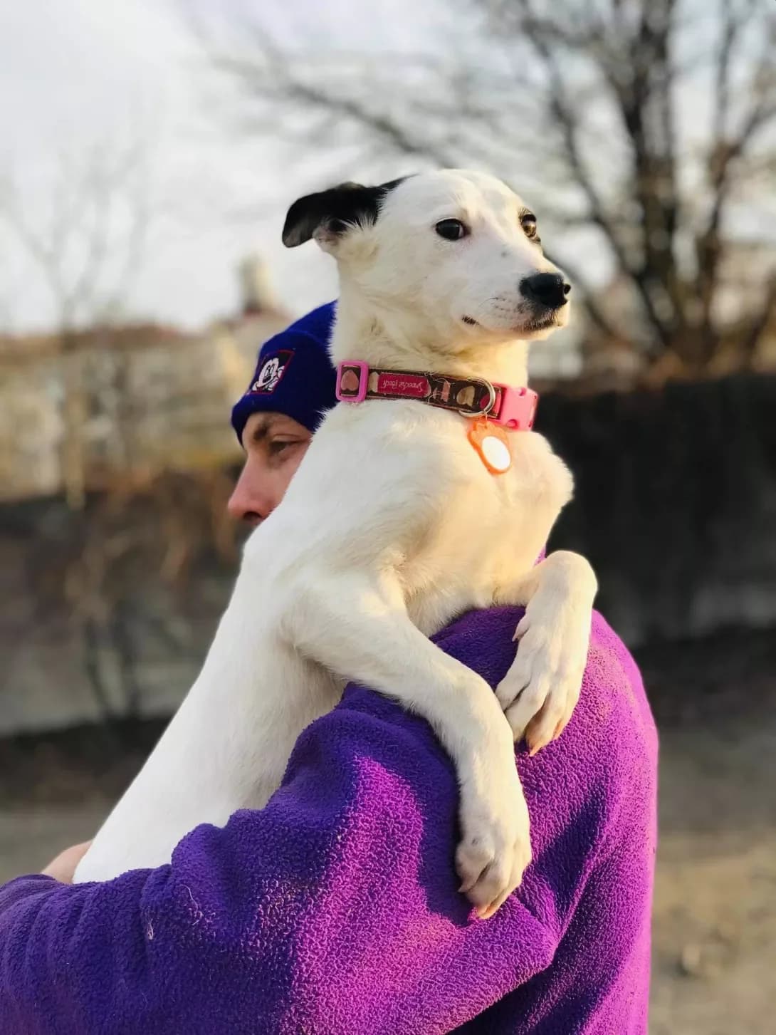 Chudnaya (Чудная), female 5yo Mixed Breed for adoption at Happy Paw Zaporizhzhia