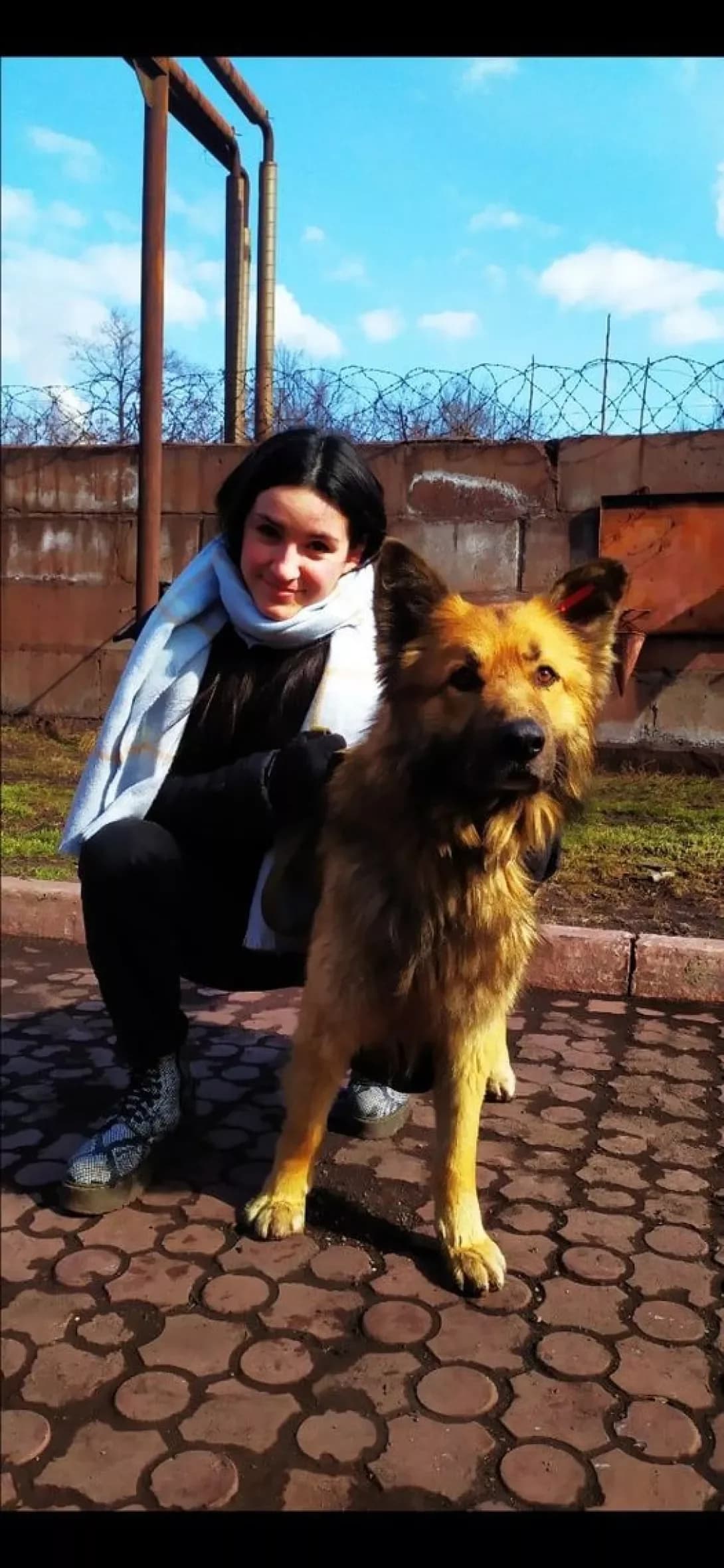Oskar (Оскар), male 7yo Mixed Breed for adoption at Happy Paw Donetsk Oblast