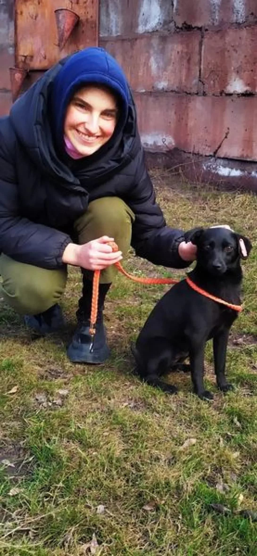 Gita (Гіта), female senior Mixed Breed for adoption at Happy Paw Donetsk Oblast