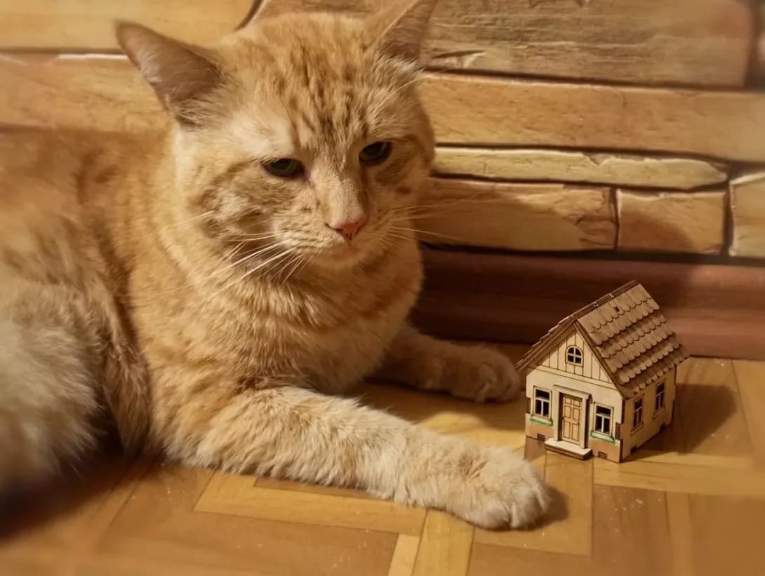 Vinni (Вінні), male 7yo Mixed Breed for adoption at Happy Paw Cherkasy Oblast