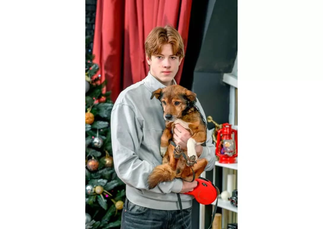Lord (Лорд), male 5yo Mixed Breed for adoption at Happy Paw Kyiv