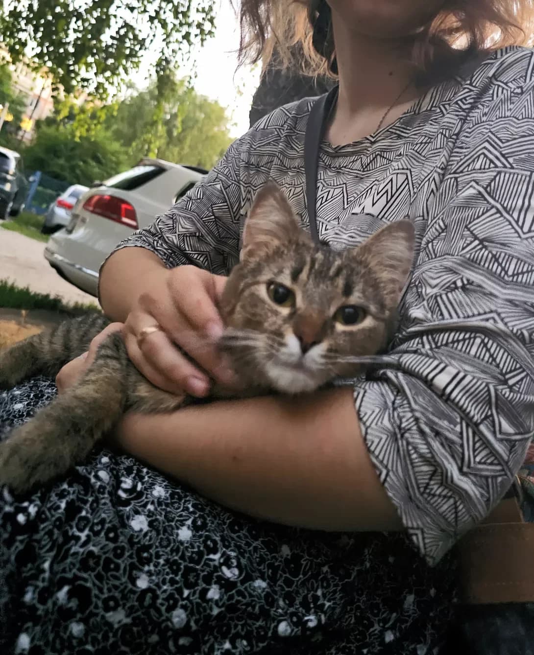Nyura (Нюра), female 3yo Mixed Breed for adoption at Happy Paw Sumy Oblast