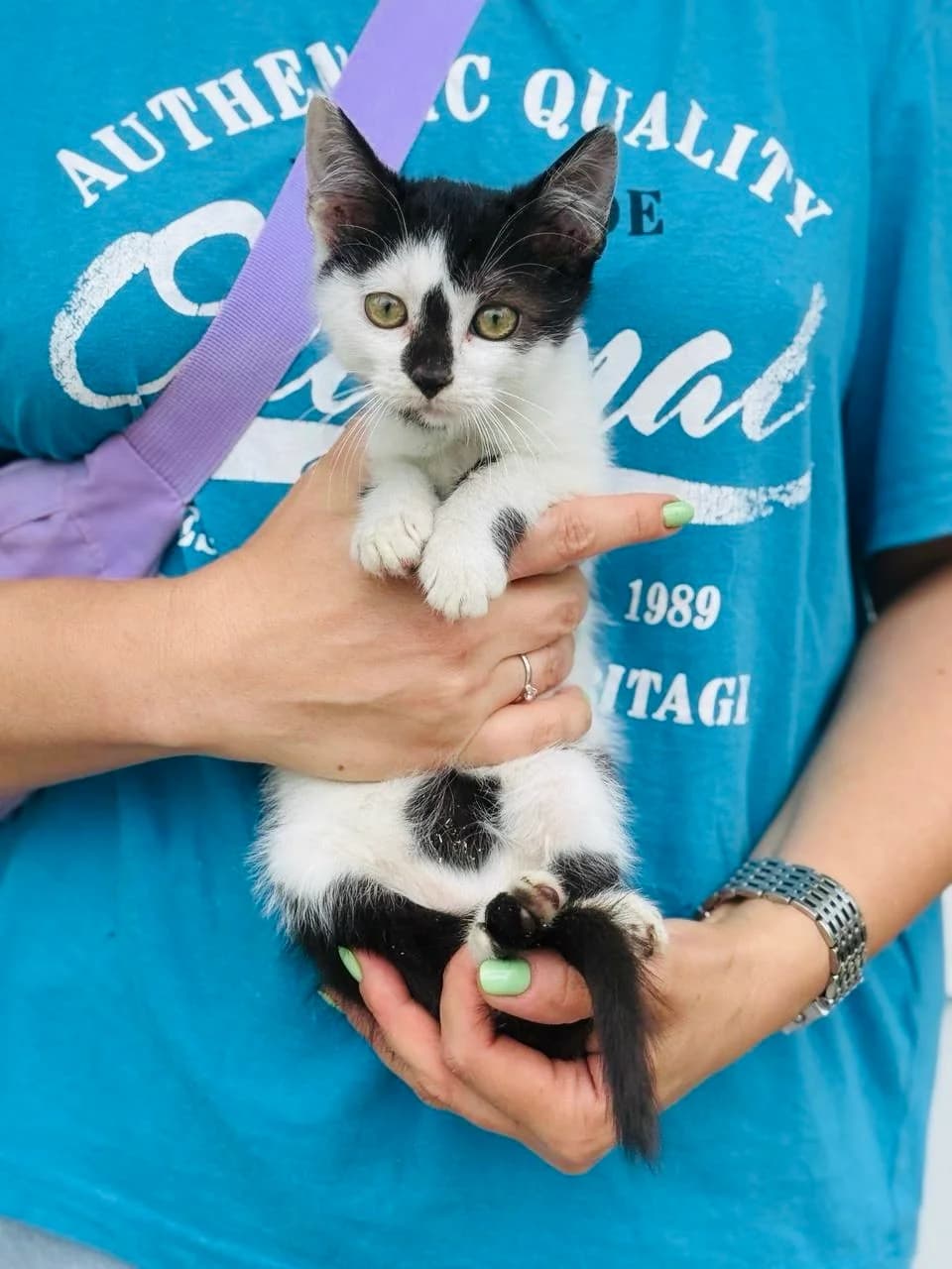 Oreo (Орео), male puppy mixed breed for adoption at Sirius Shelter, Kyiv