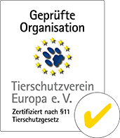 Zara,  Mixed Breed for adoption at Tierschutzverein Europa, Germany photo 8