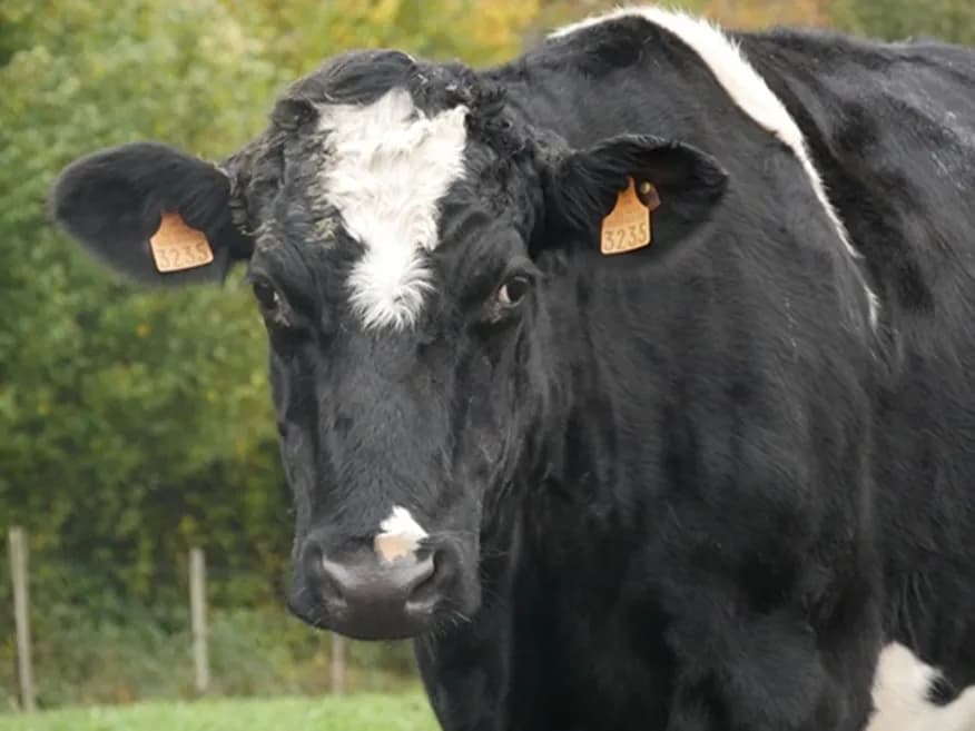 CLÉSDESVILLES photo 2