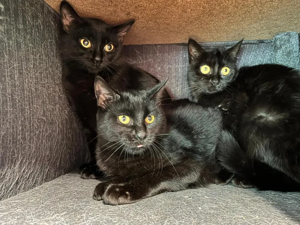 Bianca (réservée) photo 2