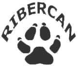 Tok,  Mixed Breed for adoption at Ribercan, Valencia