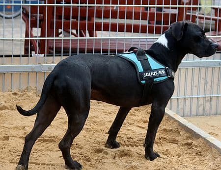 Bei Fragen nutzen Sie bitte das folgende Formular. Die Daten werden uns direkt übermittelt und bearb