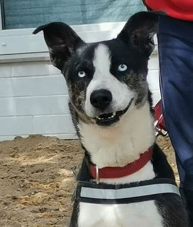 Bei Fragen nutzen Sie bitte das folgende Formular. Die Daten werden uns direkt übermittelt und bearb