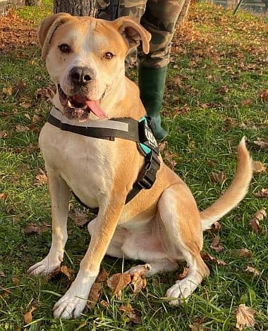 Bei Fragen nutzen Sie bitte das folgende Formular. Die Daten werden uns direkt übermittelt und bearb