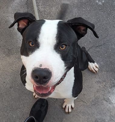 Bei Fragen nutzen Sie bitte das folgende Formular. Die Daten werden uns direkt übermittelt und bearb