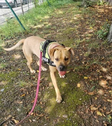 Bei Fragen nutzen Sie bitte das folgende Formular. Die Daten werden uns direkt übermittelt und bearb