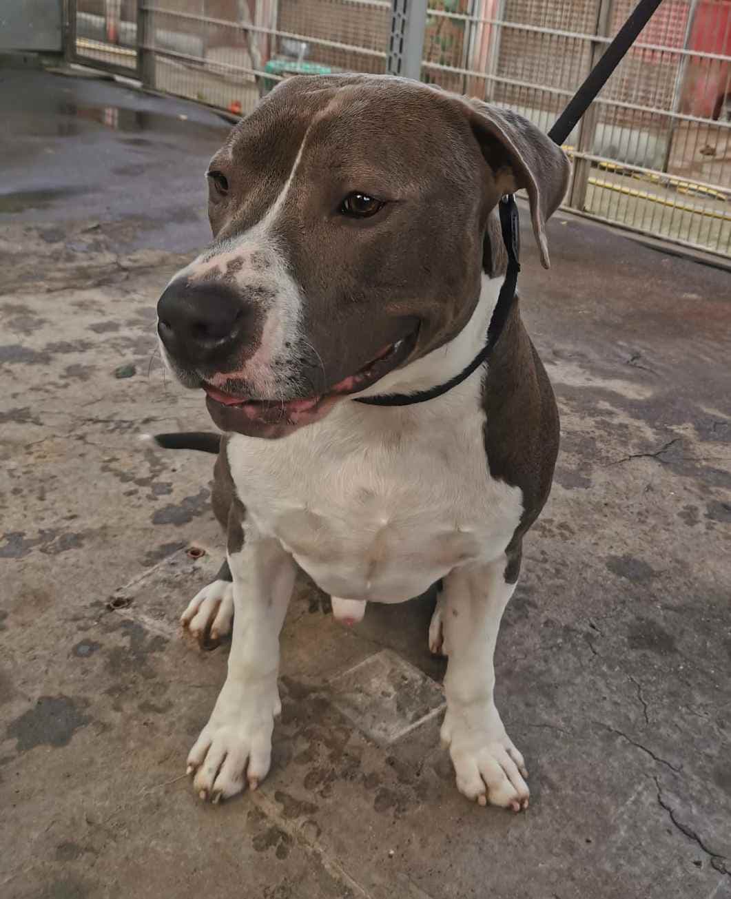 Bei Fragen nutzen Sie bitte das folgende Formular. Die Daten werden uns direkt übermittelt und bearb