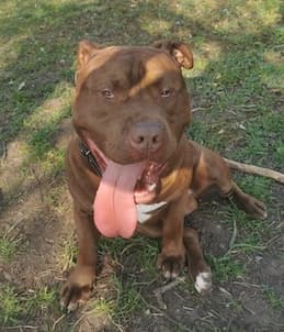 Bei Fragen nutzen Sie bitte das folgende Formular. Die Daten werden uns direkt übermittelt und bearb