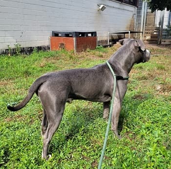 Bei Fragen nutzen Sie bitte das folgende Formular. Die Daten werden uns direkt übermittelt und bearb