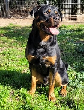 Bei Fragen nutzen Sie bitte das folgende Formular. Die Daten werden uns direkt übermittelt und bearb