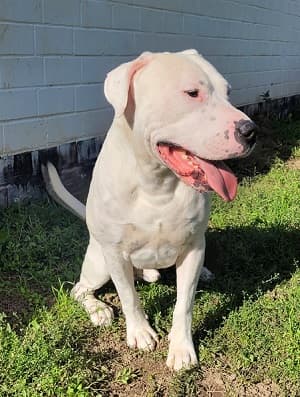 Bei Fragen nutzen Sie bitte das folgende Formular. Die Daten werden uns direkt übermittelt und bearb