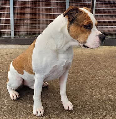 Bei Fragen nutzen Sie bitte das folgende Formular. Die Daten werden uns direkt übermittelt und bearb