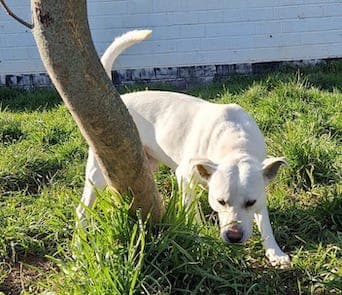 Bei Fragen nutzen Sie bitte das folgende Formular. Die Daten werden uns direkt übermittelt und bearb