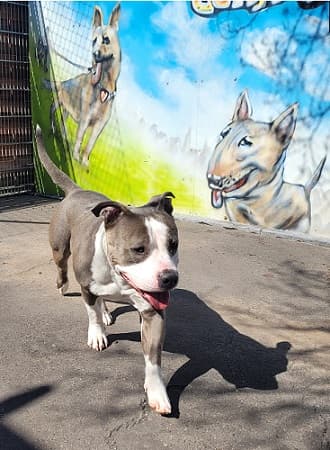 Bei Fragen nutzen Sie bitte das folgende Formular. Die Daten werden uns direkt übermittelt und bearb