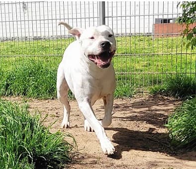 Bei Fragen nutzen Sie bitte das folgende Formular. Die Daten werden uns direkt übermittelt und bearb