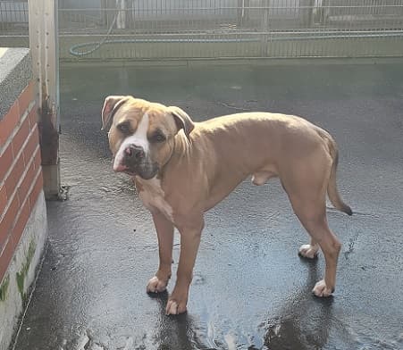 Bei Fragen nutzen Sie bitte das folgende Formular. Die Daten werden uns direkt übermittelt und bearb