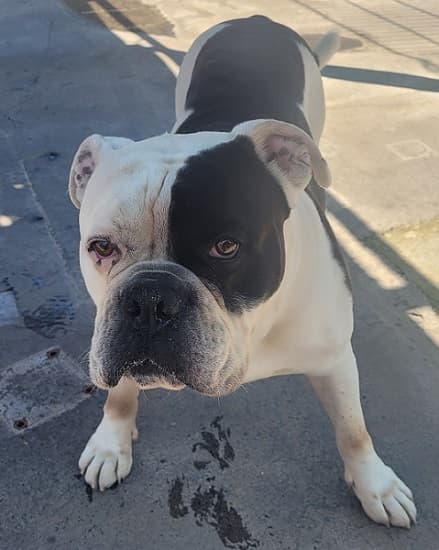 Bei Fragen nutzen Sie bitte das folgende Formular. Die Daten werden uns direkt übermittelt und bearb