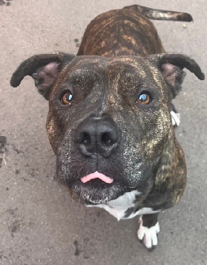 Bei Fragen nutzen Sie bitte das folgende Formular. Die Daten werden uns direkt übermittelt und bearb