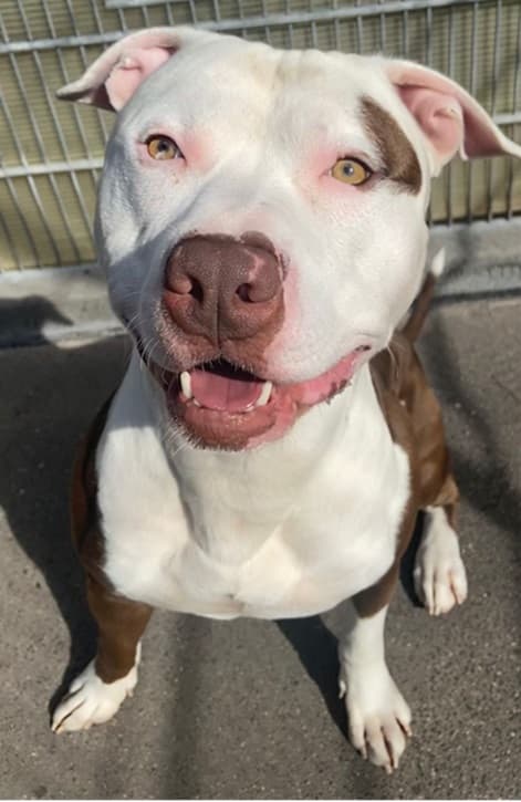 Bei Fragen nutzen Sie bitte das folgende Formular. Die Daten werden uns direkt übermittelt und bearb