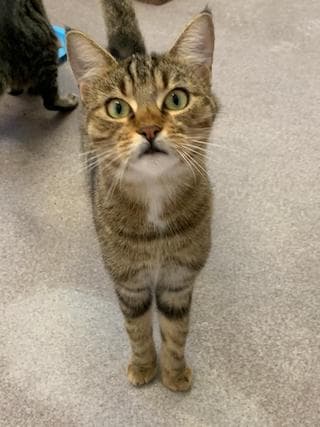 Bei Fragen nutzen Sie bitte das folgende Formular. Die Daten werden uns direkt übermittelt und bearb