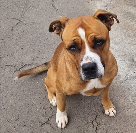 Bei Fragen nutzen Sie bitte das folgende Formular. Die Daten werden uns direkt übermittelt und bearb