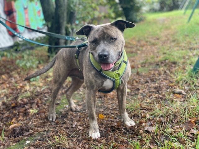 Bei Fragen nutzen Sie bitte das folgende Formular. Die Daten werden uns direkt übermittelt und bearb