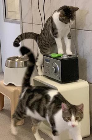 Bei Fragen nutzen Sie bitte das folgende Formular. Die Daten werden uns direkt übermittelt und bearb