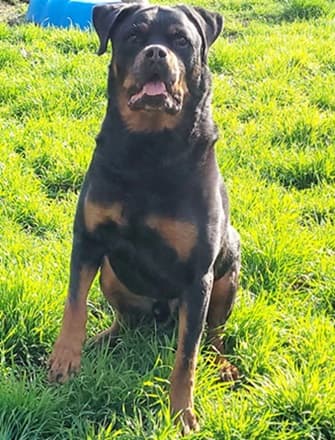 Bei Fragen nutzen Sie bitte das folgende Formular. Die Daten werden uns direkt übermittelt und bearb