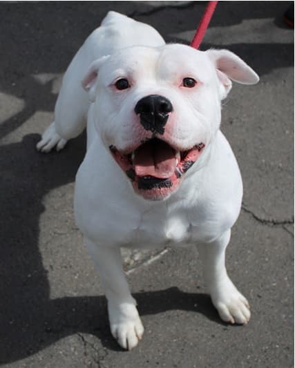 Bei Fragen nutzen Sie bitte das folgende Formular. Die Daten werden uns direkt übermittelt und bearb